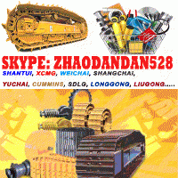 803004213, P3100B367AHNJ20-14AQZA07-1 double pump